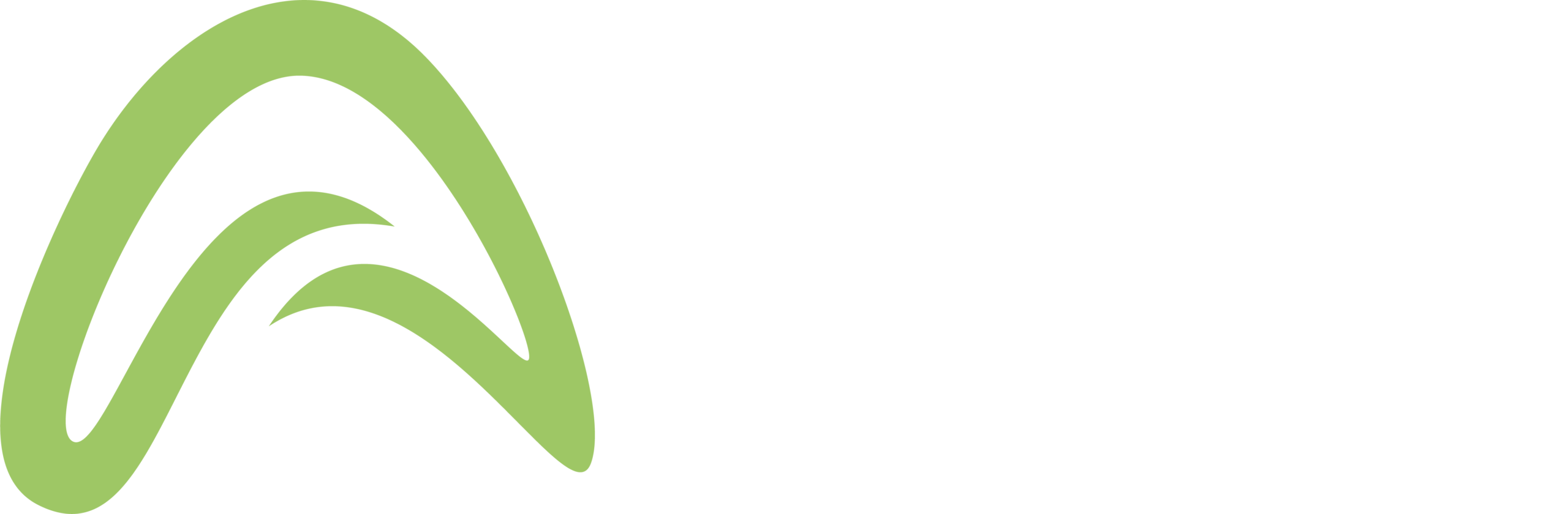 Asset 1Aura
